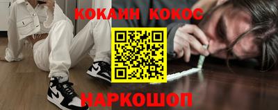 спайс Кингисепп