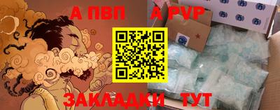 спайс Кингисепп