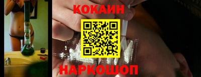 спайс Кингисепп