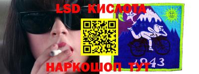 спайс Кингисепп