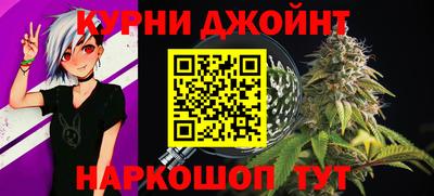 спайс Кингисепп