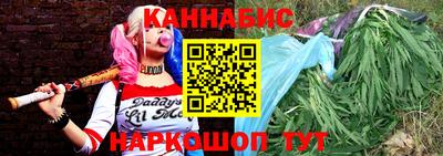 спайс Кингисепп