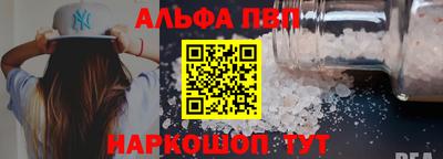 спайс Кингисепп