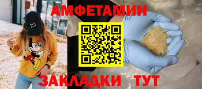 спайс Кингисепп
