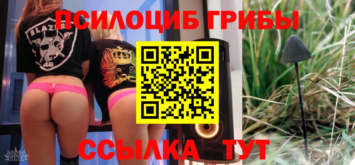 Кропоткин  даркнет сайт  Вход с VPN  Галлюциногенные грибы Psilocybine cubensis 