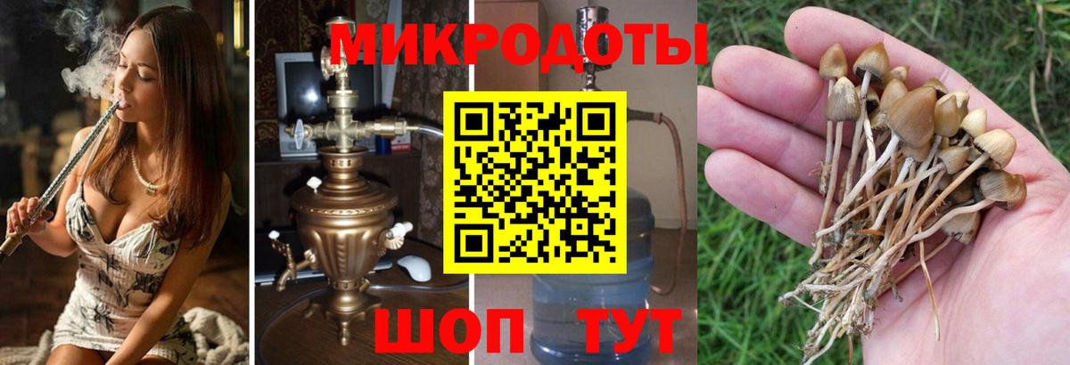 Псилоцибиновые грибы мухоморы Кропоткин